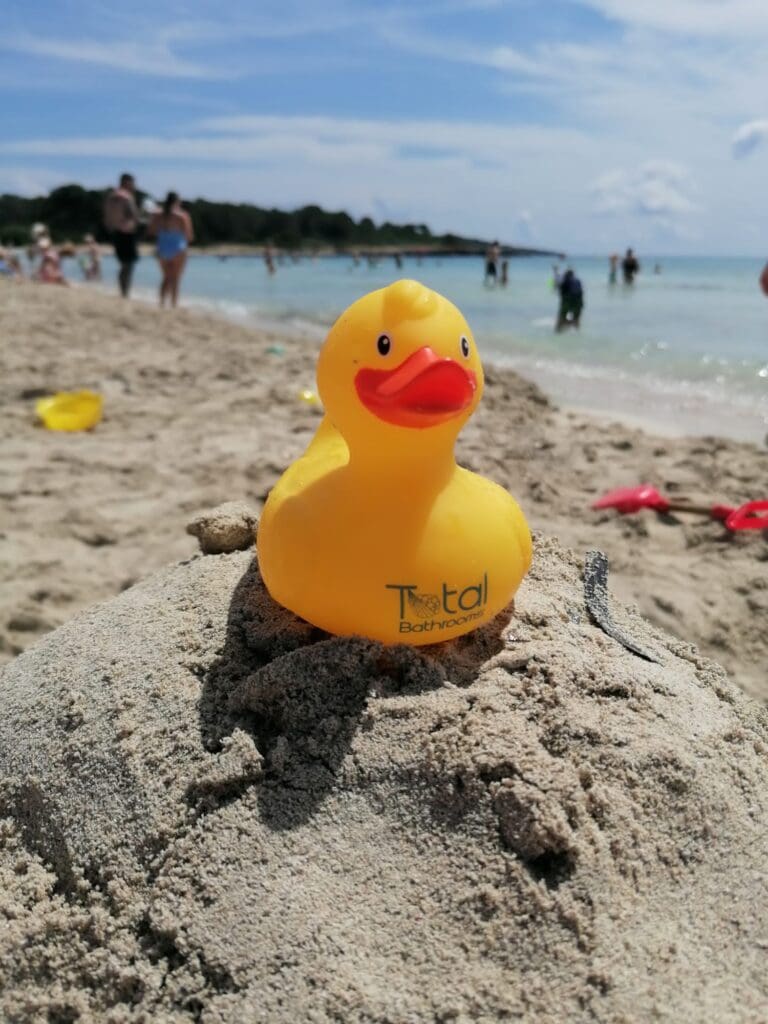 Img 20230628 Wa0001 768X1024 1 | Total Bathrooms, Bath