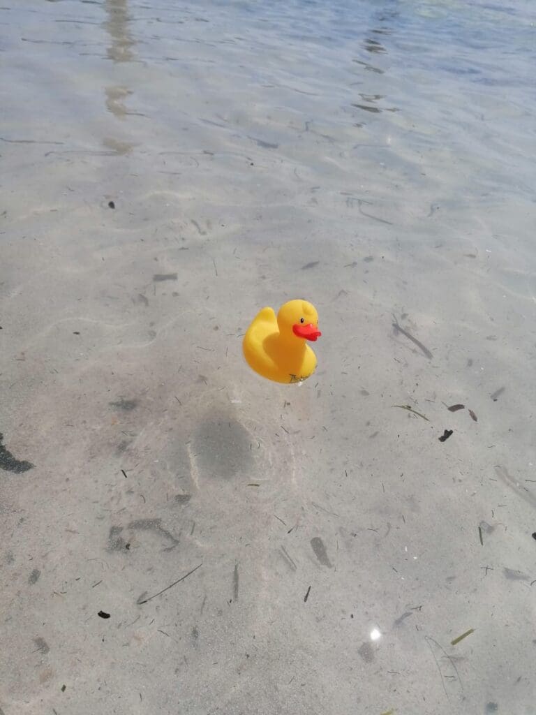 Img 20230706 Wa0013 768X1024 1 | Total Bathrooms, Bath