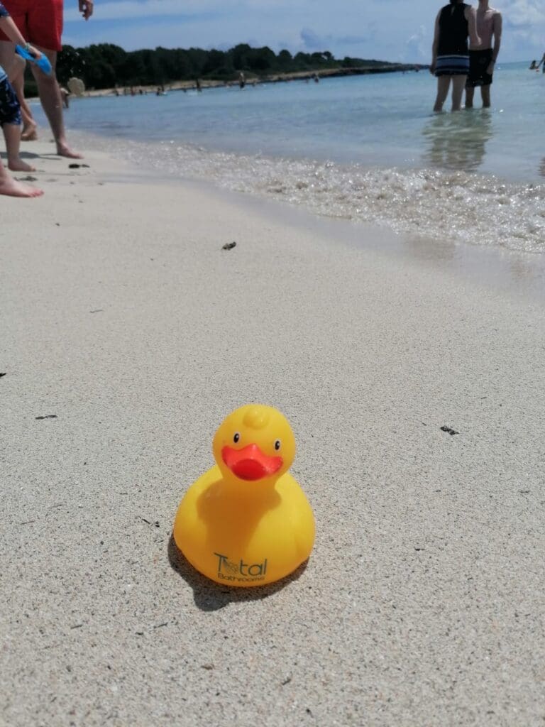 Img 20230706 Wa0014 768X1024 1 | Total Bathrooms, Bath