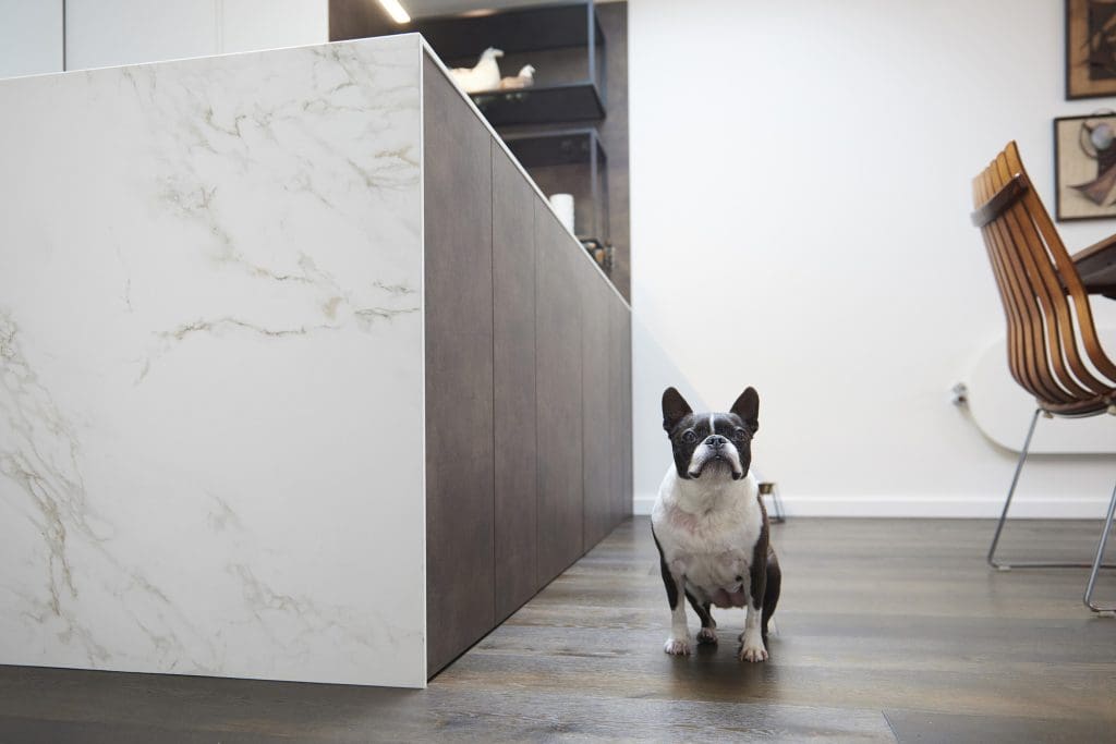 Casanora Oct19 Malbrook Road Sw15 055 | CasaNora, Putney